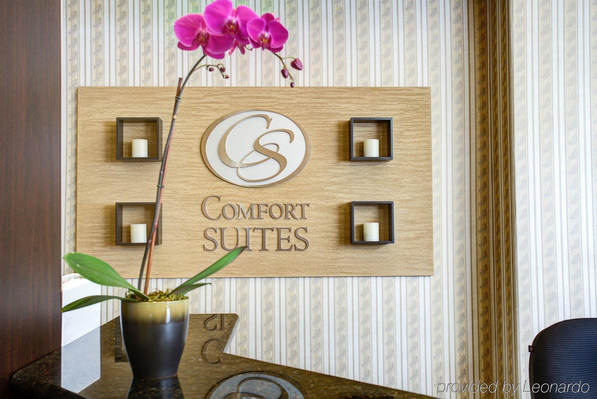 Comfort Suites San Jose Airport Εξωτερικό φωτογραφία
